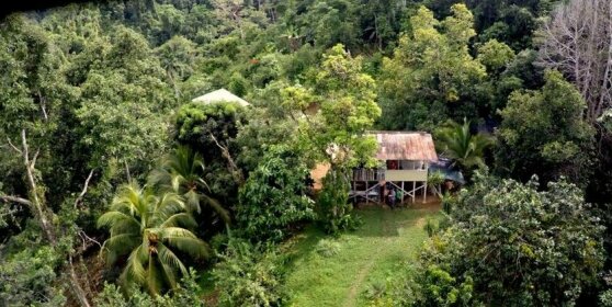 Bolita Rainforest Hostel and Cabinas