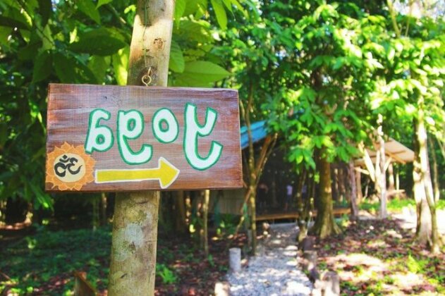 Cacao Monkeys - Photo2