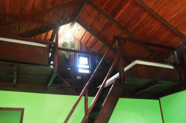 Cacao Monkeys - Photo3
