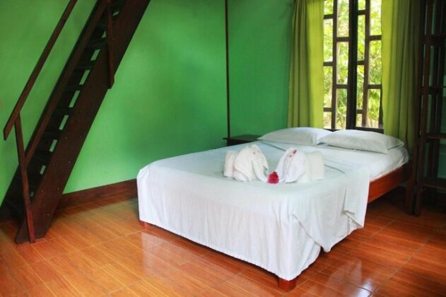 Cacao Monkeys - Photo5