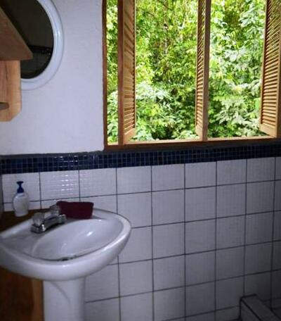 Selva Bananito Lodge - Photo5