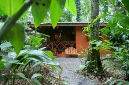 Pachamama Jungle River Lodge - Punta Uva