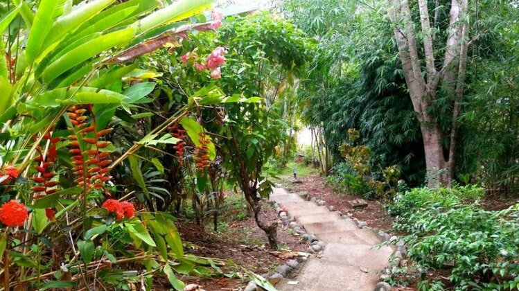 Casa Iguana Quepos - Photo5