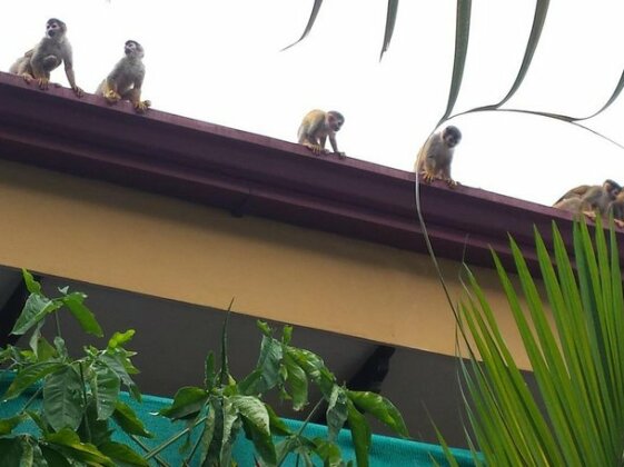 Coyaba Tropical Elegant Adult Guesthouse - Photo2