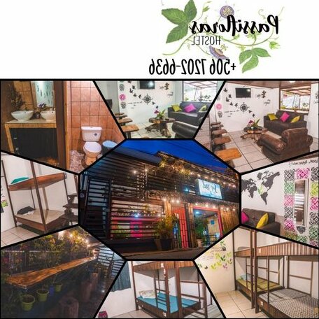 Passifloras Hostel - Photo2