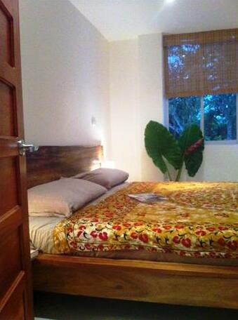 The Toucan - Photo5