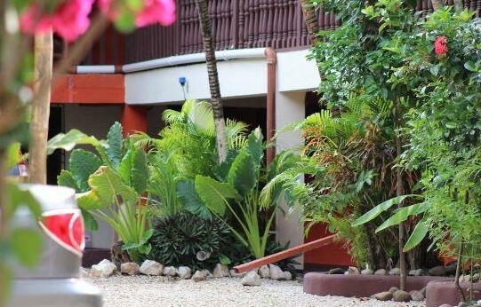 Hotel Playa Samara - Photo5