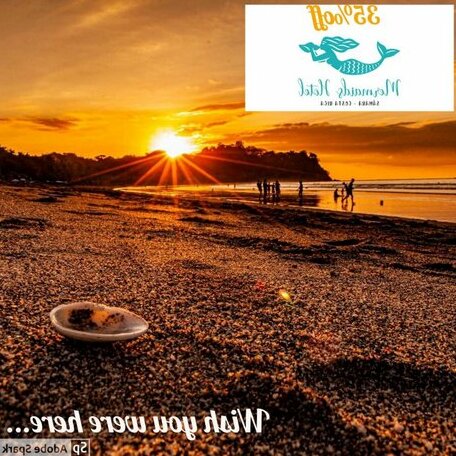 Mermaids Hotel - Photo2