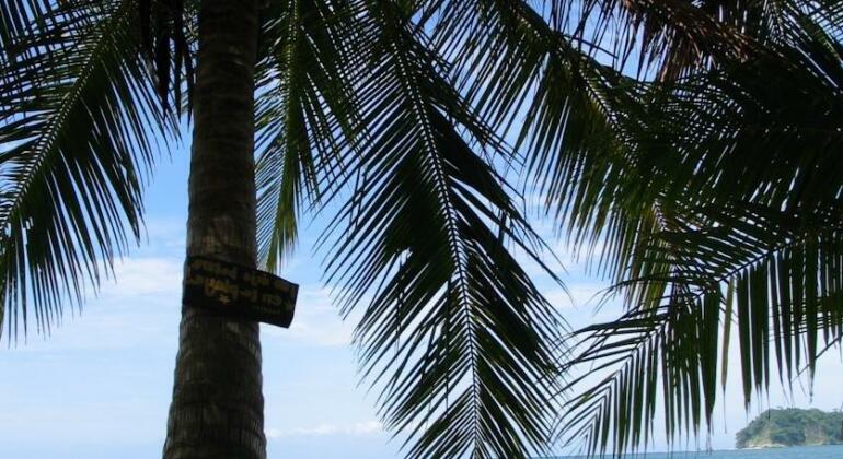 Samara Pacific Lodge - Photo5