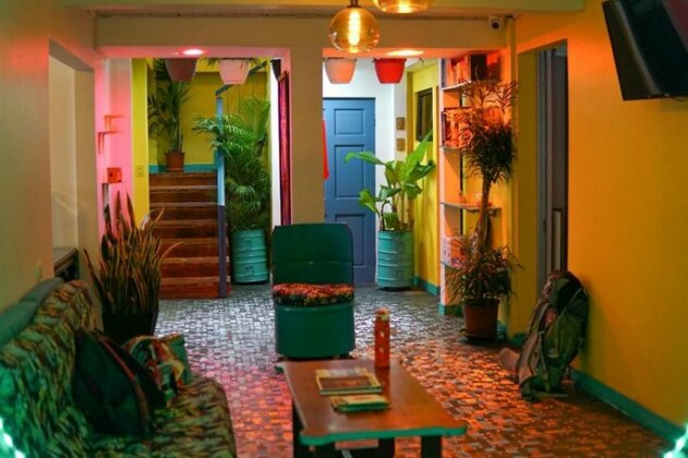 NATIVUS Art-Hostel - Photo2