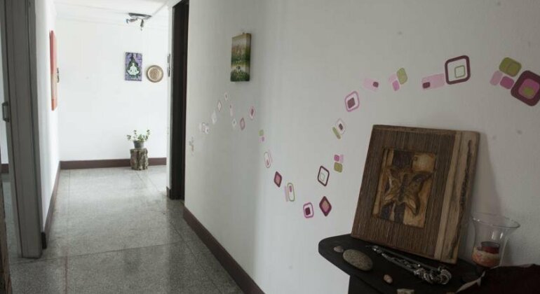 Monkey's Tribe Hostel - Photo3