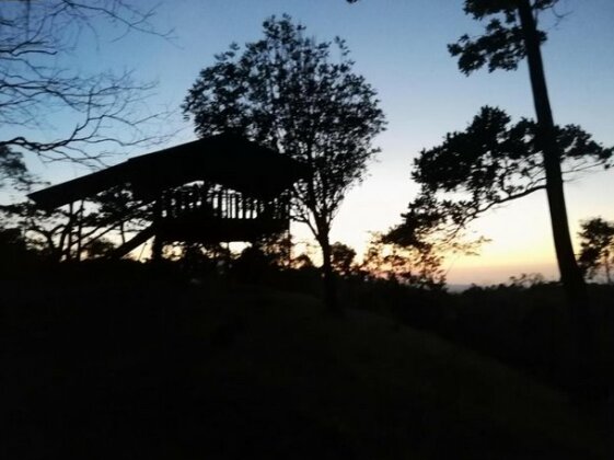 Finca Agroforestal Rainforest - Photo3