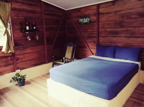 Finca Agroforestal Rainforest - Photo4