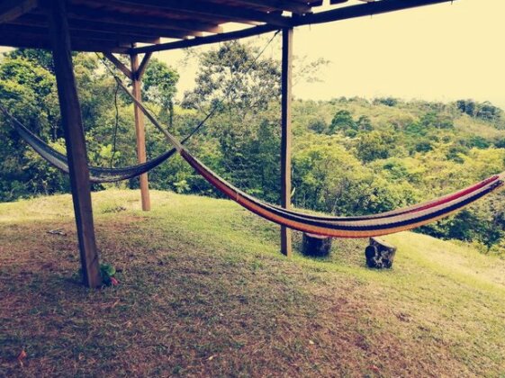Finca Agroforestal Rainforest - Photo5