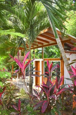 Fuego Lodge - Photo4