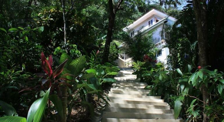 Funky Monkey Lodge - Photo2