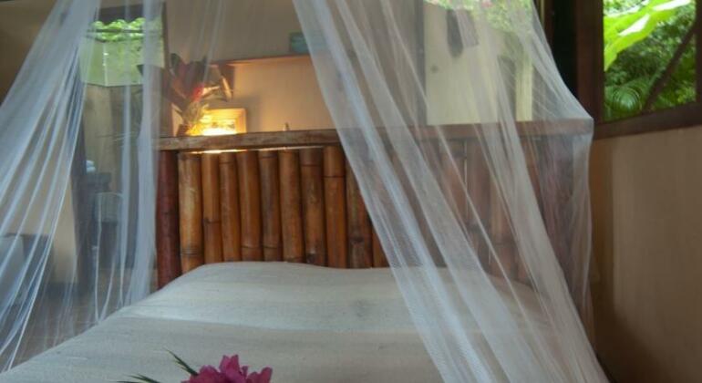 Funky Monkey Lodge - Photo5