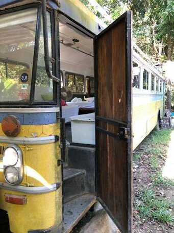 Nahele Lodge - Photo5