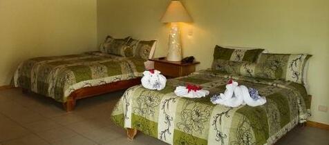 Ficus Hotel - Photo4