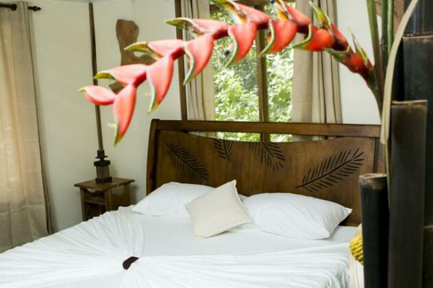 Rios Tropicales Lodge - Photo5