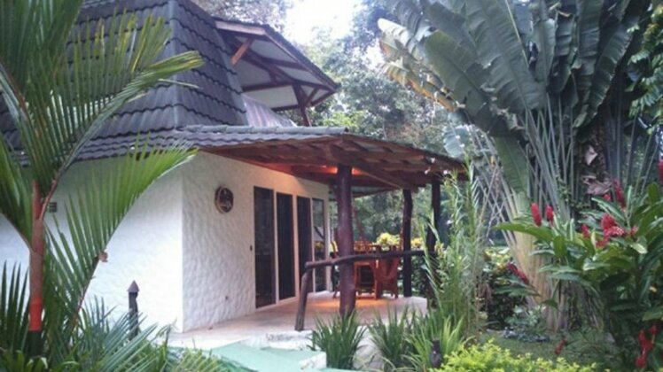 Tropical Healing Retreats