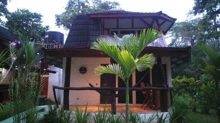 Tropical Healing Retreats - Photo2
