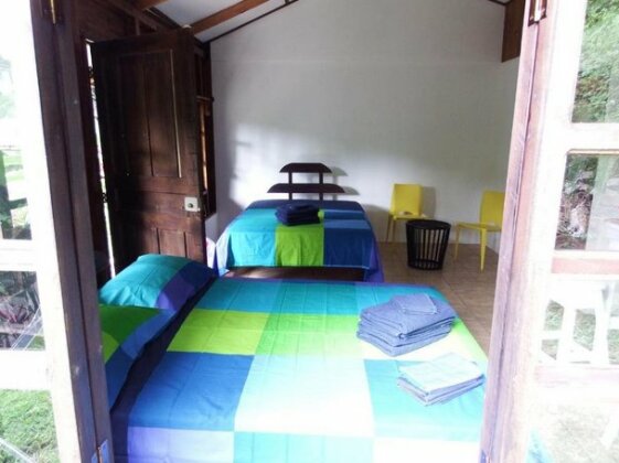 Selva Color - Forest & Beach EcoLodge - Photo3