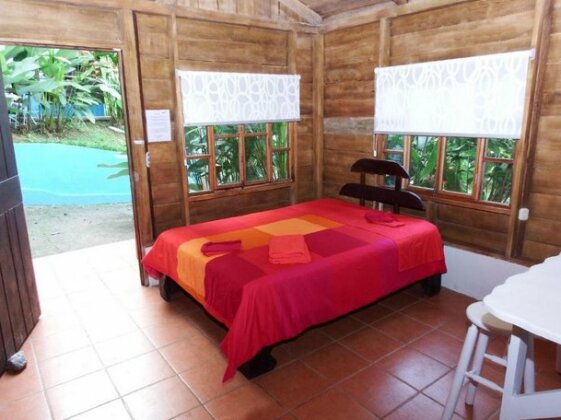Selva Color - Forest & Beach EcoLodge - Photo4