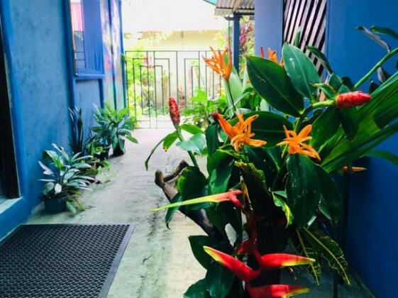 Green Macaw Hostel - Photo3