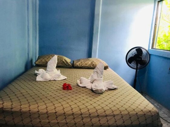Green Macaw Hostel - Photo5