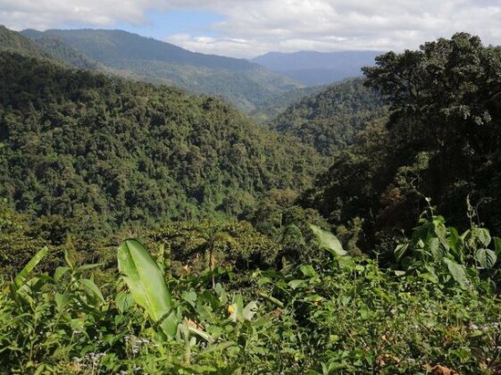 Casa Colibri Turrialba - Photo4