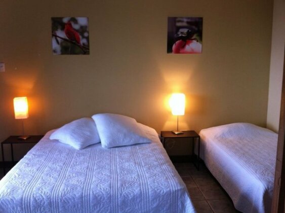 Ladera Hotel Turrialba - Photo4