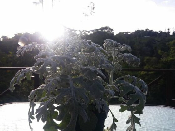 Quinta los volcanes - Photo5