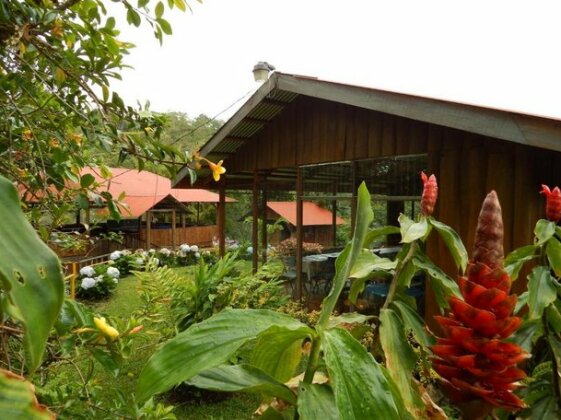 Vista Turrialba Lodge - Photo2