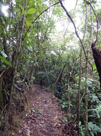 Vista Turrialba Lodge - Photo3