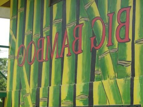 Big Bamboo de Uvita - Photo2