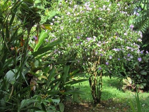 Holiday home Franky's Paradise - Photo3