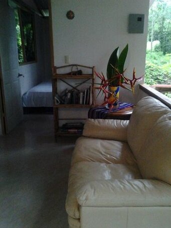 Osa de Rio - Photo3