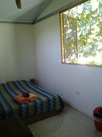 Osa de Rio - Photo5