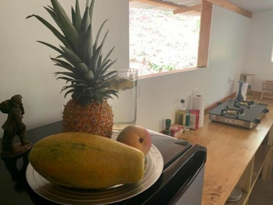 Private jungle Loft del Rio river access - Photo5