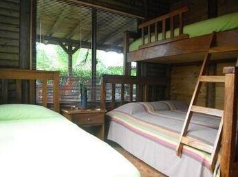 Villas Bungalows Ballena - Photo5