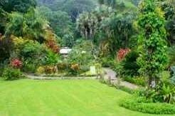 Zancudo Beach Resort - Photo2