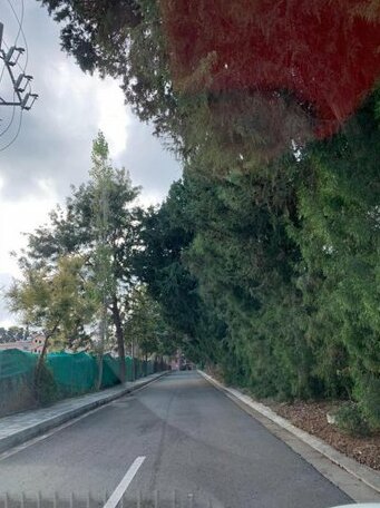 Paradise Gardens 4 - Photo2