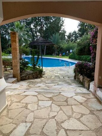 Paradise Gardens 4 - Photo5