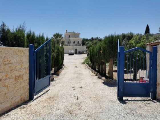 Luxury Stone Villa Argaka - Photo3