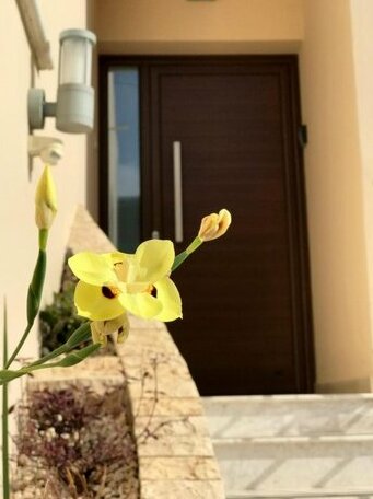 Amazing Napa Apartments - Photo4