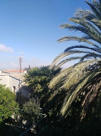 Avli-the courtyard - Photo4