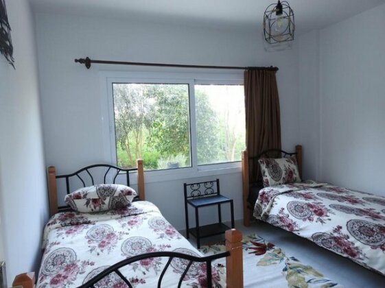 Ertunalp Apartment - Photo5