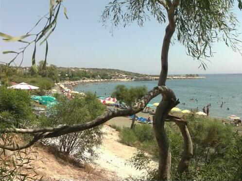 Niki's Beach House - Photo5