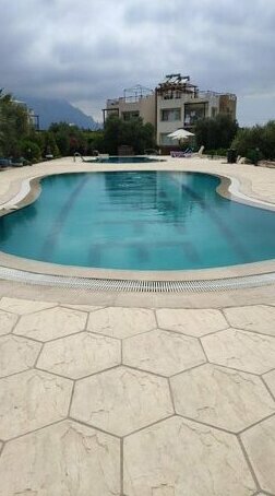 Cypruscove